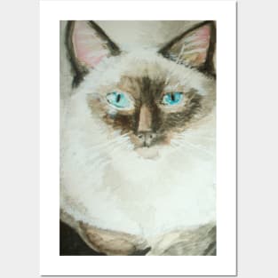 Siamese cat Posters and Art